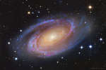 Яркая спиральная галактика M81