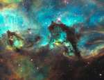 Morskoi konek v Bol'shom Magellanovom Oblake
