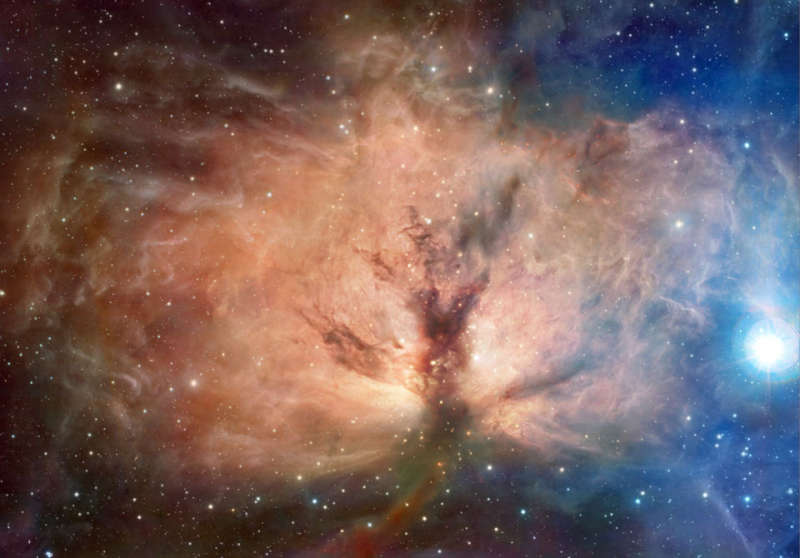 The Flame Nebula in Visible and Infrared