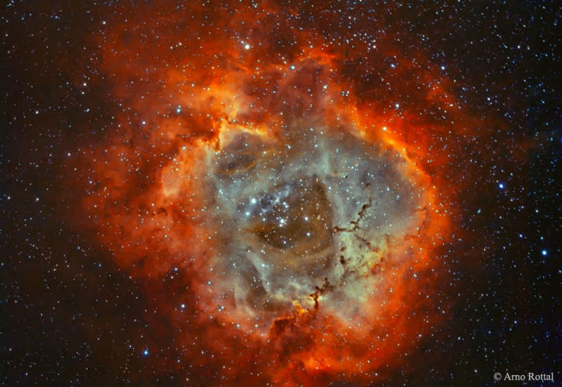 The Rosette Nebula in Hydrogen and Oxygen