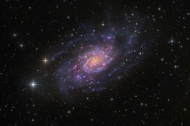 NGC 2403 в Жирафе