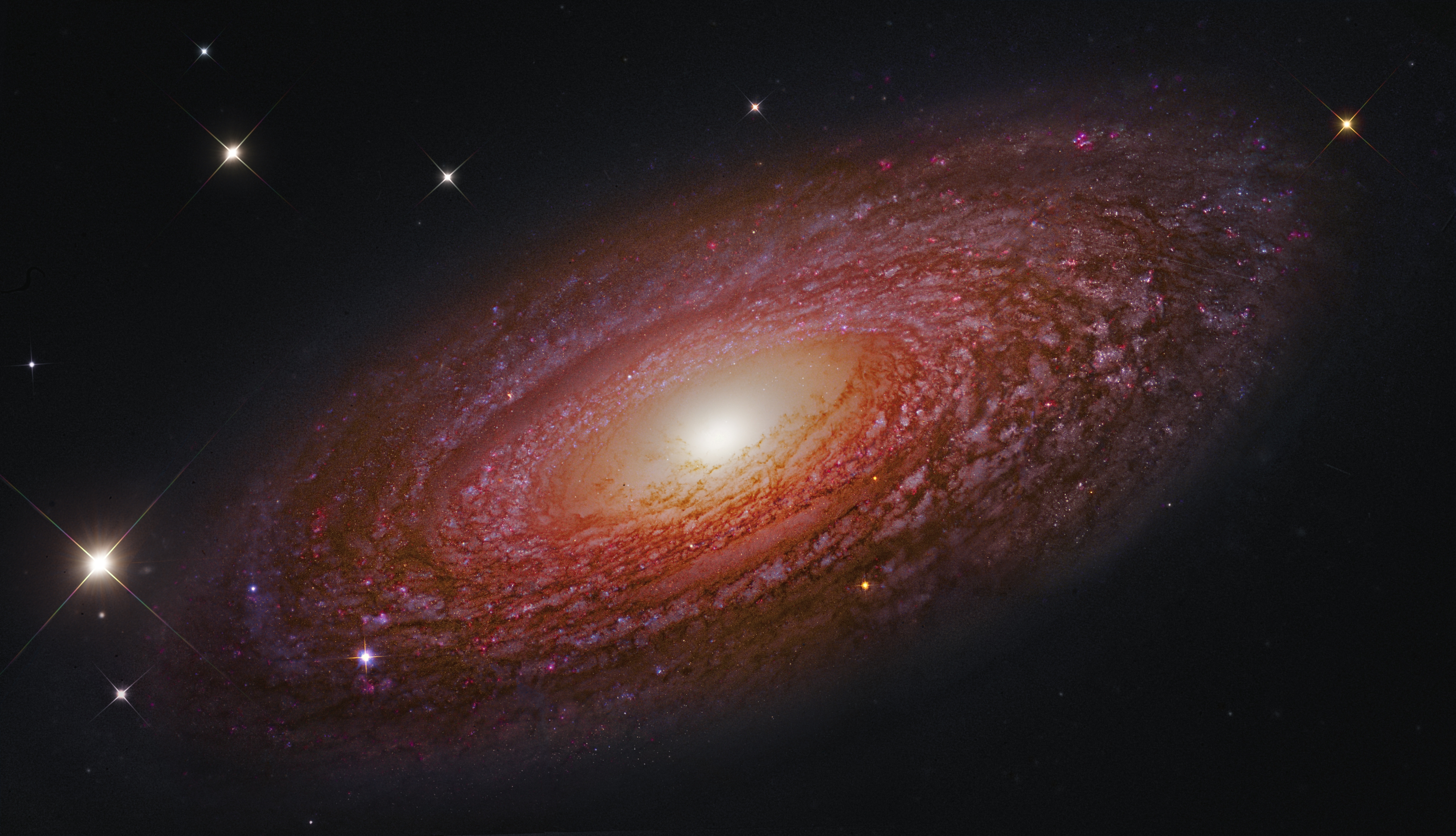 Massive Nearby Spiral Galaxy NGC 2841