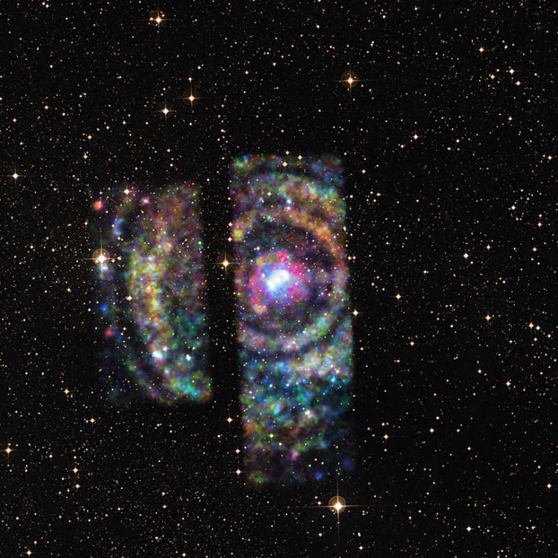 X ray Echoes from Circinus X 1