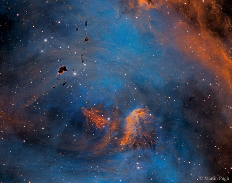 Stars and Globules in the Running Chicken Nebula