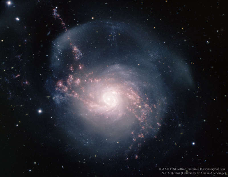 NGC 3310: A Starburst Spiral Galaxy