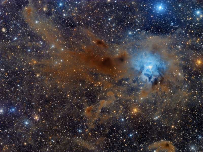 NGC 7023: tumannost' Iris