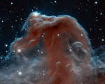 Туманность Конская голова в инфракрасном свете от телескопа имени Хаббла