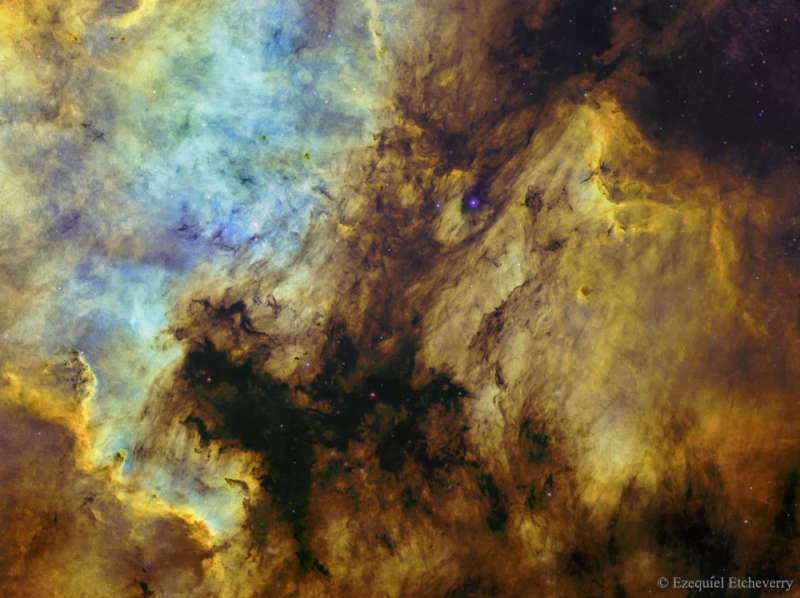 The North America and Pelican Nebulas