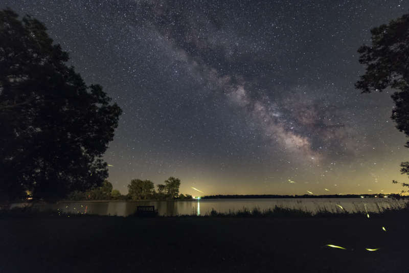 Firefly Trails and the Summer Milky Way