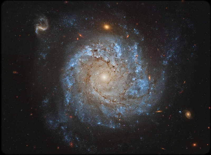 NGC 1309: spiral'naya galaktika i ee druz'ya