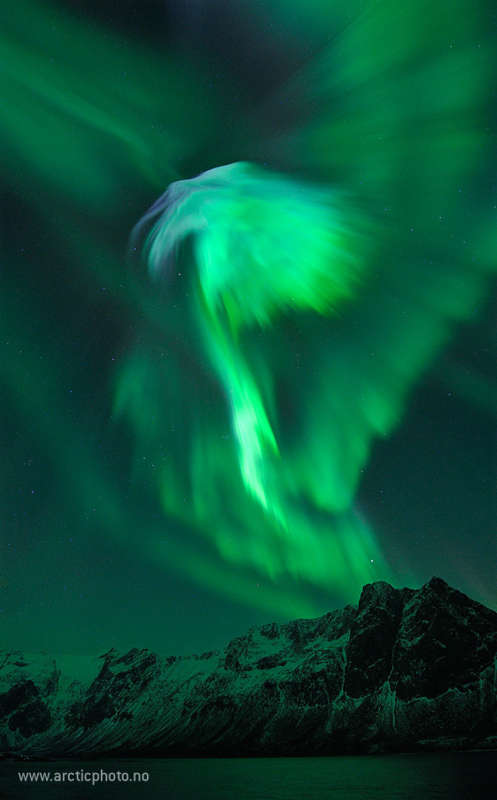 Eagle Aurora over Norway