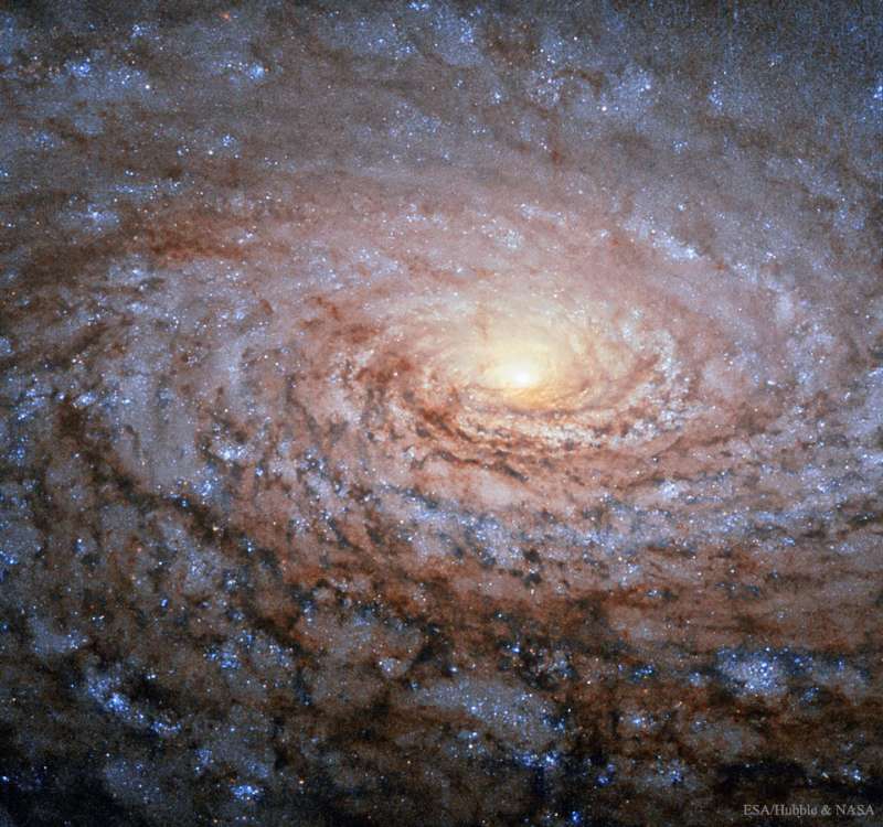 M63: The Sunflower Galaxy from Hubble