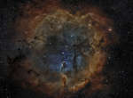 IC 1396: Emission Nebula in Cepheus