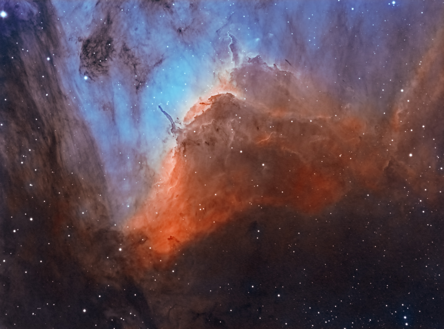 Pelican Nebula Close Up
