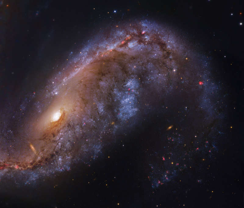 NGC 2442: Galaxy in Volans