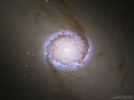 Спиральная галактика NGC 1512: ядерное кольцо