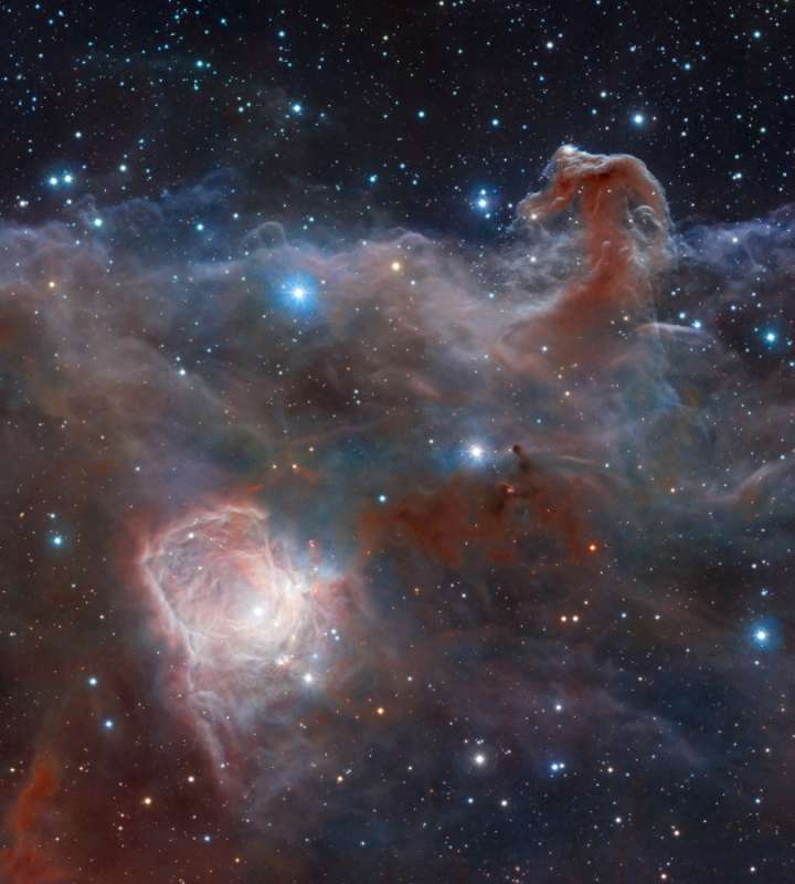 Horsehead: A Wider View