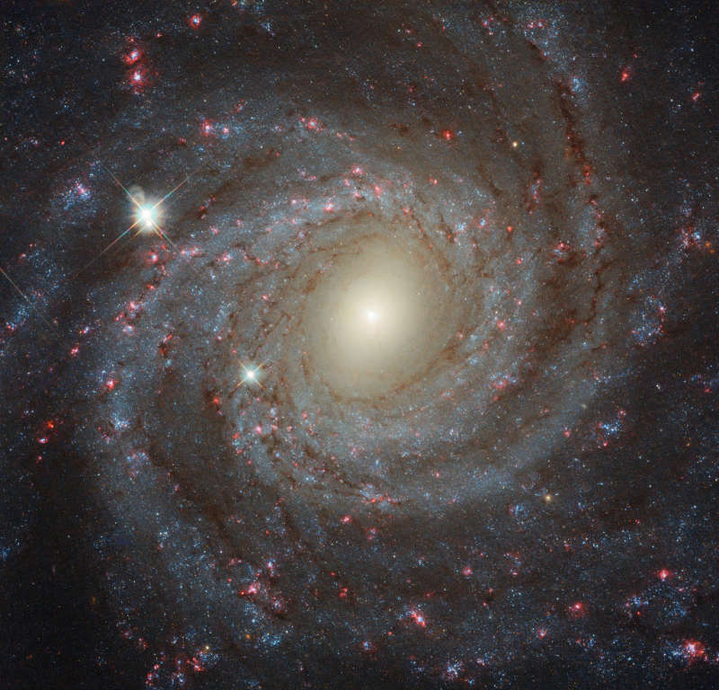 Лицом к NGC 3344