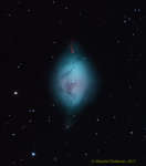 NGC 1360: tumannost' Yaico drozda