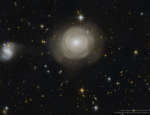 Оболочки из звезд в эллиптической галактике PGC 42871