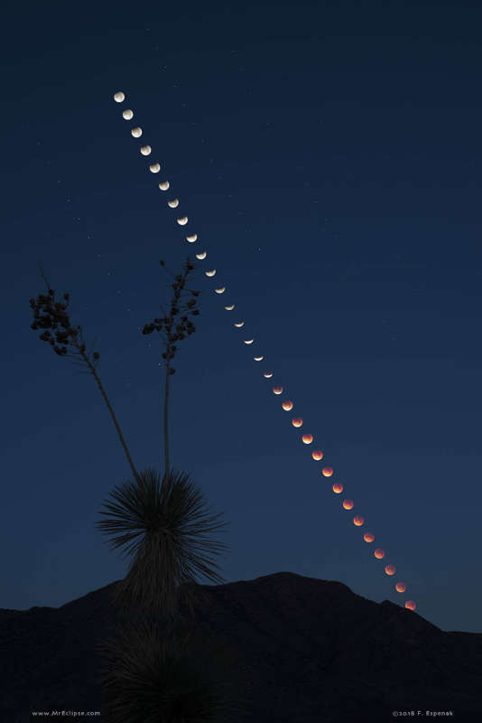 Total Lunar Eclipse at Moonset