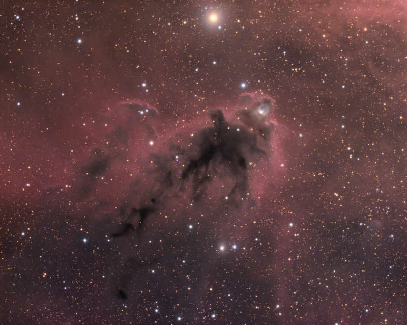 LDN 1622: Dark Nebula in Orion