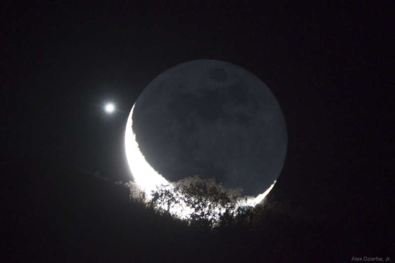 Moon and Venus Appulse over a Tree
