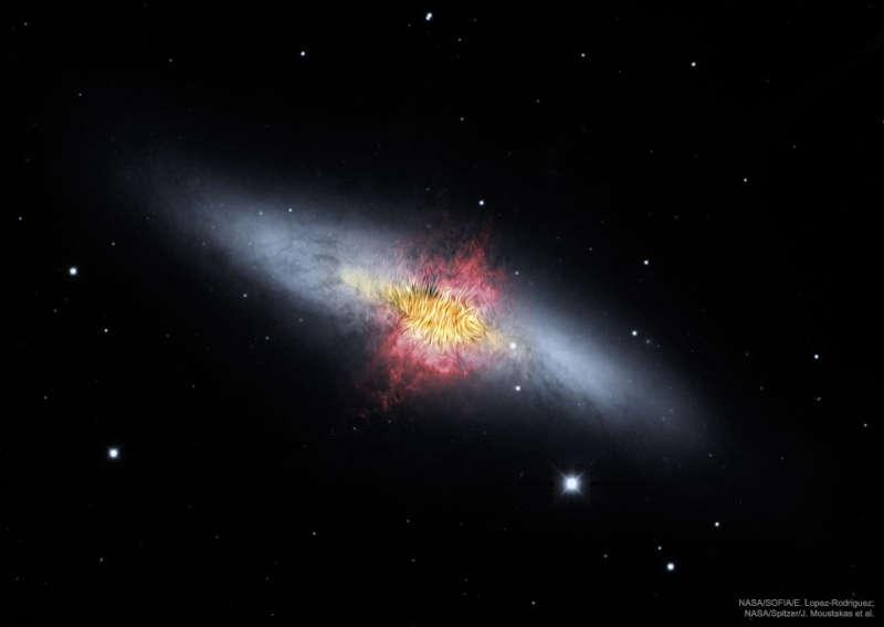 The Central Magnetic Field of the Cigar Galaxy