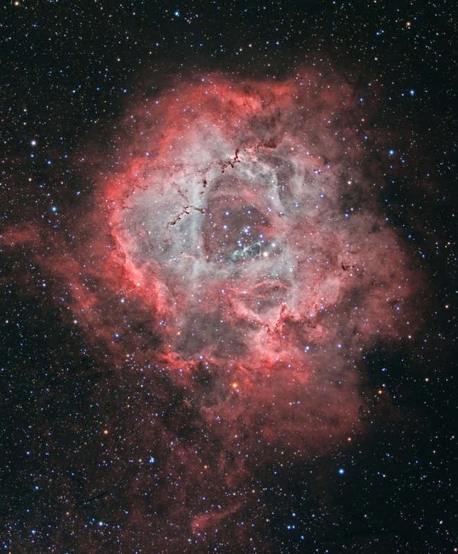 A Cosmic Rose: The Rosette Nebula in Monoceros