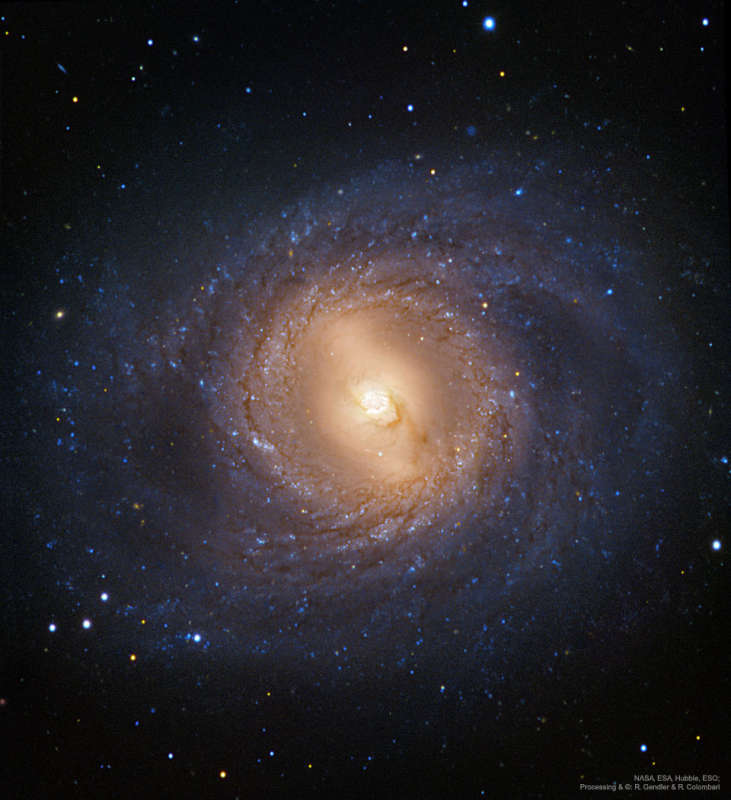 M95: Spiral Galaxy with an Inner Ring