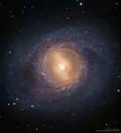 M95: спиральная галактика с внутренним кольцом