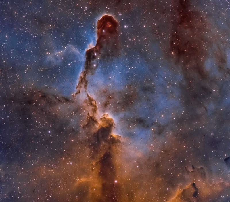 The Elephant s Trunk Nebula in Cepheus