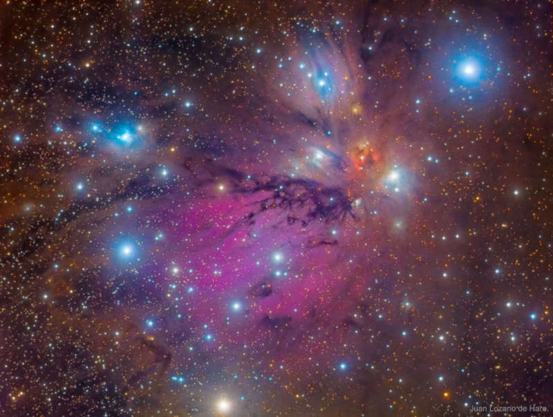 NGC 2170: натюрморт с туманностью Ангел