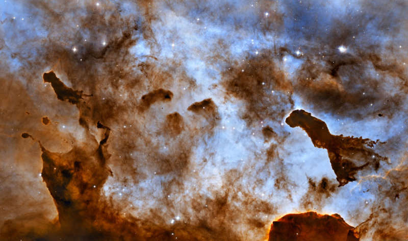 Dark Clouds of the Carina Nebula
