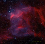 NGC 3572 i Yuzhnye Golovastiki