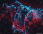 NGC 6995: туманность Летучая Мышь