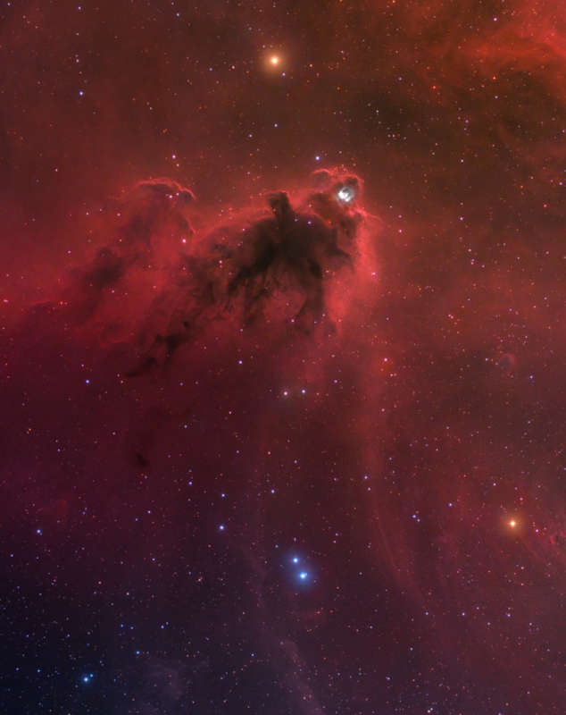 LDN 1622: Dark Nebula in Orion