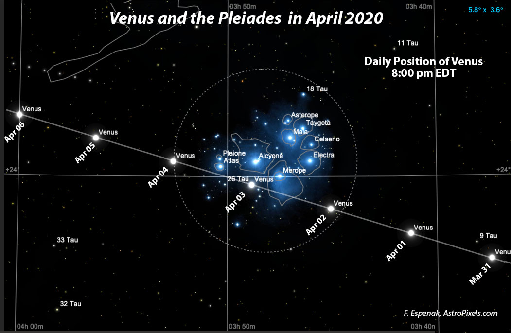 Venus and the Pleiades in April