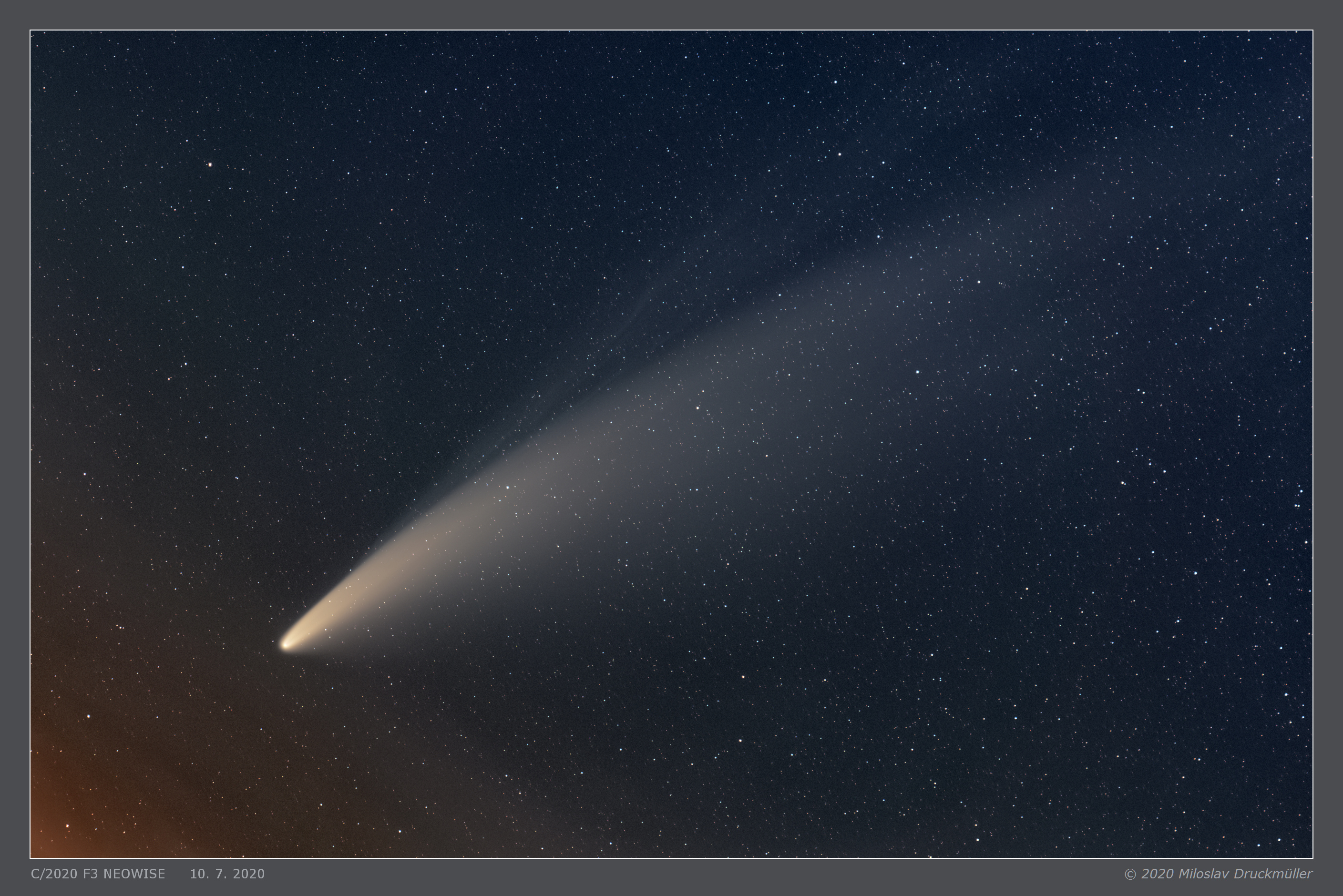 The Tails of Comet NEOWISE