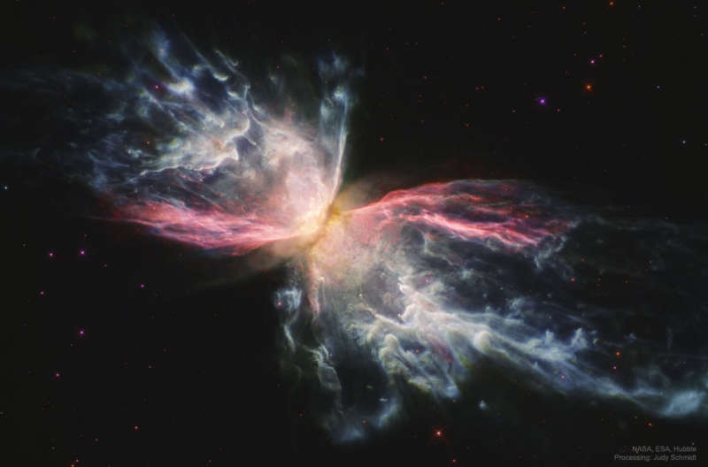 Iron in the Butterfly Nebula