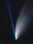 Struktury v hvostah komety NEOWISE