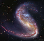 NGC 2442: galaktika v Letuchei Rybe