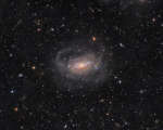 Spiral'naya galaktika M63