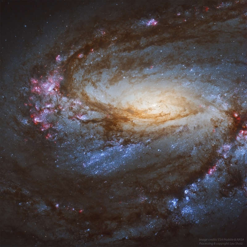 Messier 66 Close Up