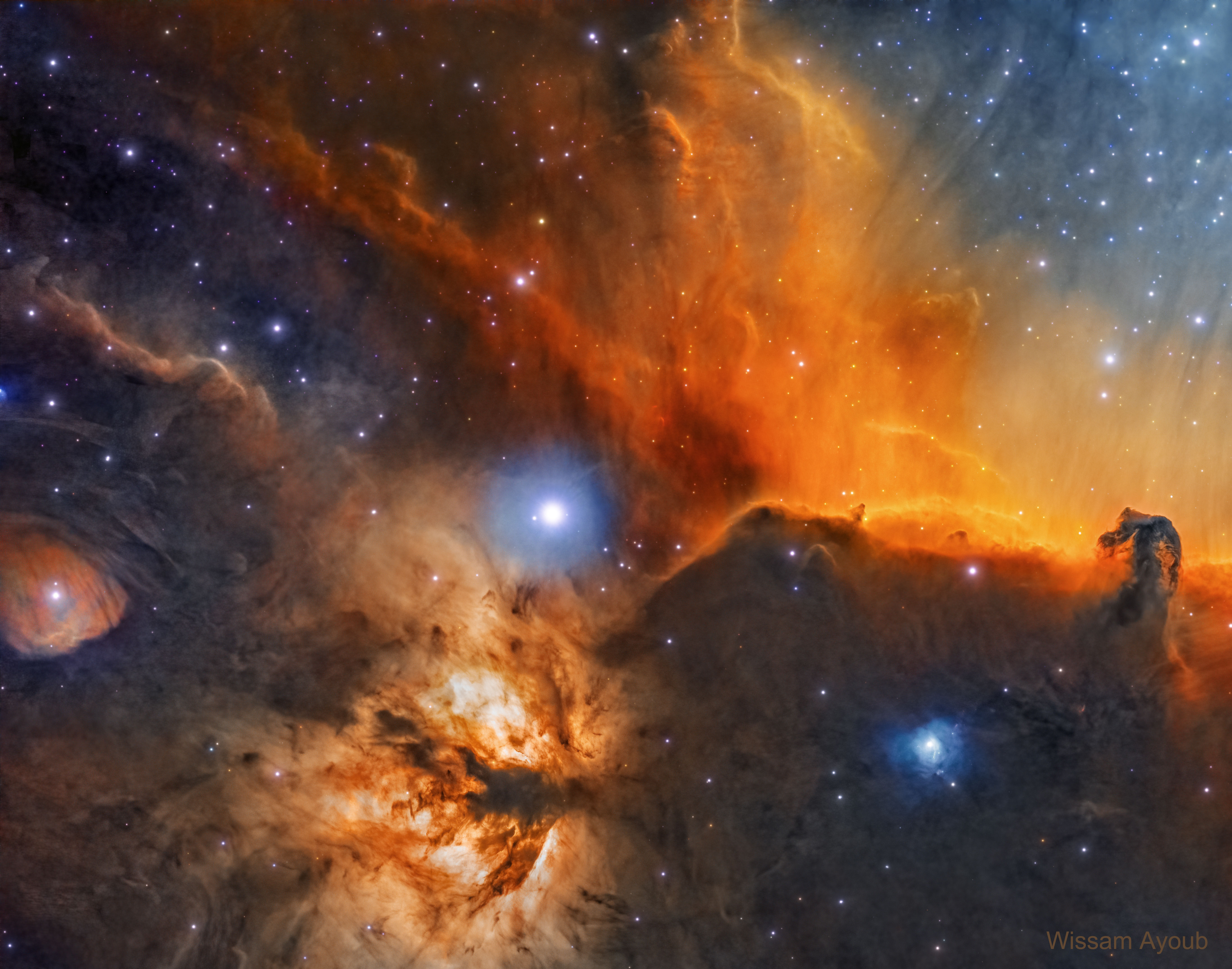 The Horsehead and Flame Nebulas