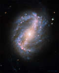 Spiral'naya galaktika s peremychkoi NGC 6217
