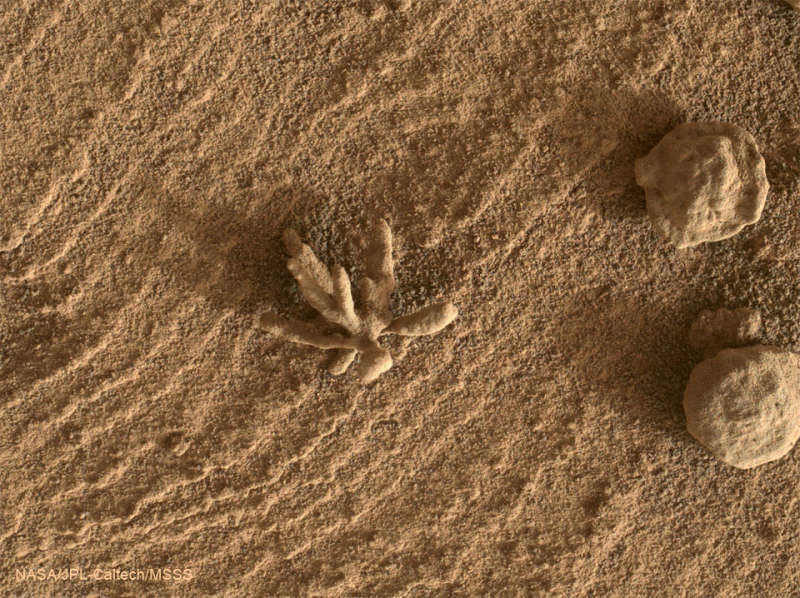 Камень на Марсе, похожий на цветок