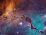 N11: zvezdnye oblaka v Bol'shom Magellanovom Oblake