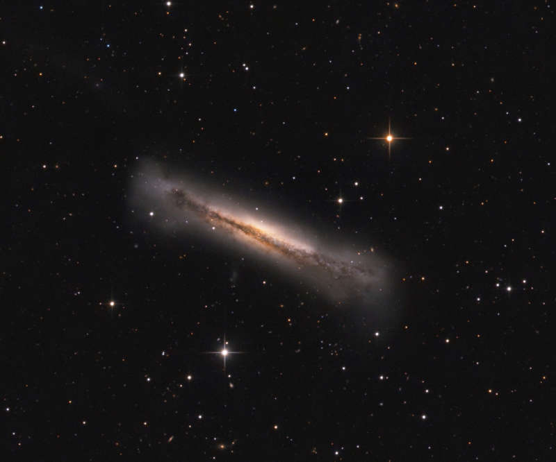 Портрет NGC 3628