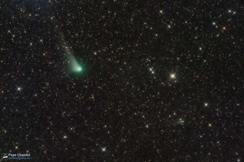 Two Comets in Southern Skies